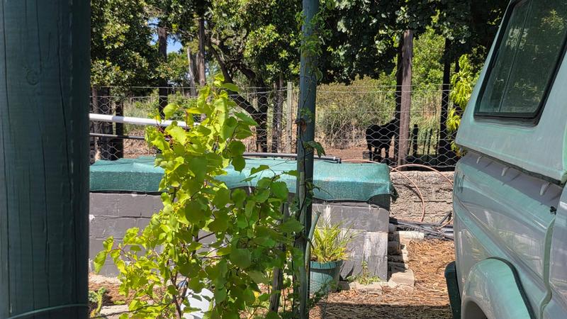 7 Bedroom Property for Sale in Albertinia Western Cape